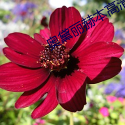 918博天堂·(中国)手机版客户端