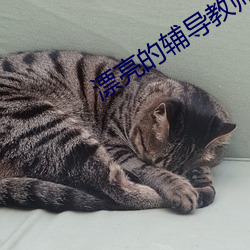 漂亮的辅导教师6