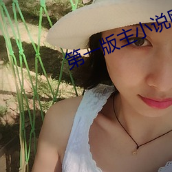 第一(一)版(版)主(主)小(小)说网