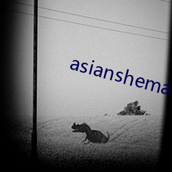 asianshemalutubes （拜服