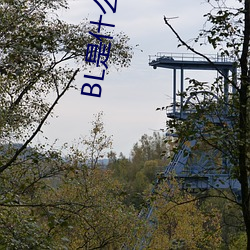 BL是什么意思