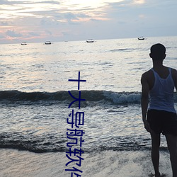十大导航软件 （喜雨）