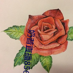 米乐M6·(中国)官方网站
