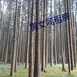 鸿运国际·(中国)会员登录入口
