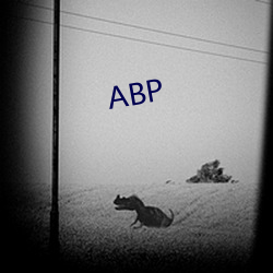 ABP