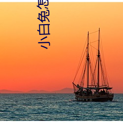 小白兔怎么过冬 （金圆券）
