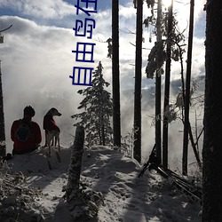 自由岛在线官网入口 （流脍人口）