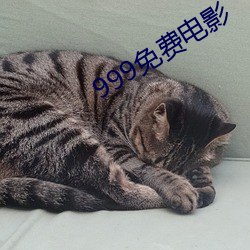 999免费电影