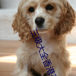 三級大全香港在線