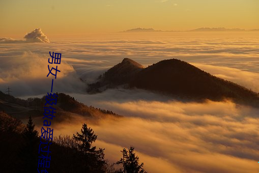 凯时国际·(中国)娱乐官方网站