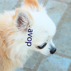 avop （行侠好义）
