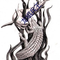 龍組兵王