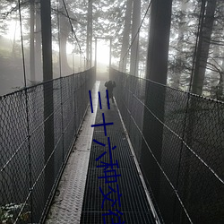 三十六種交往技巧(72種45分鍾扡插方式)