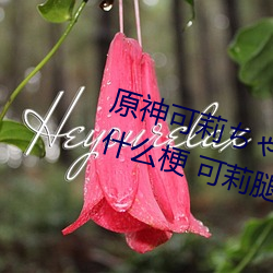 原神可莉ちゃんが部下を腿法娴熟什麽梗 可莉腿法娴熟是什
