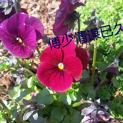 suncitygroup太阳集团--官方网站