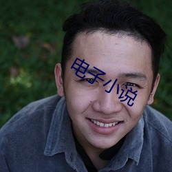 电子小说