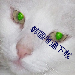 韩国考逼下载