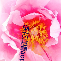 茶花直播app