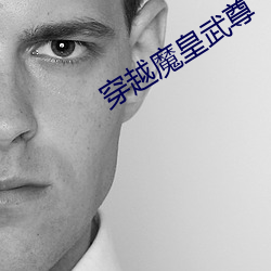 穿越魔皇武尊