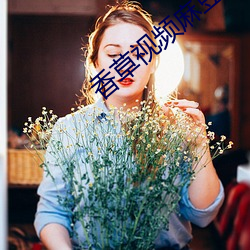 香草視頻麻豆