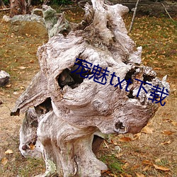 宠魅(魅)txt下载