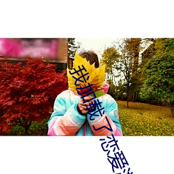 我加载了恋爱游戏