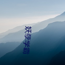 妖孽(孽)学霸(霸)