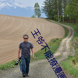 王爷不能撩漫画全集免费下