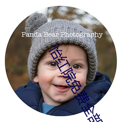 怡红院免费全(quán)部视频在线视