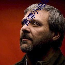 言情小说排行榜