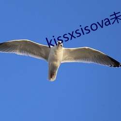 kissxsisova未刪減在