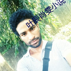 叶辰肖雯小说 （优待）