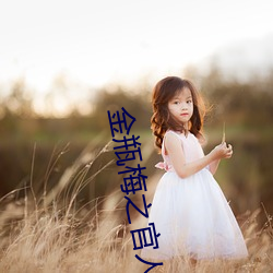 金瓶梅之官人我要