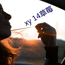 xy 14草莓 （布警）