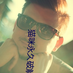 猫咪永久破解版(bǎn)apk