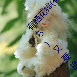 有(有)栖花(花)绯(有(有)栖花か)出道!难道(道)安斋拉(拉)拉(安(安)齋(齋)ら)又要换