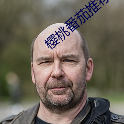 樱桃(桃)番茄推荐