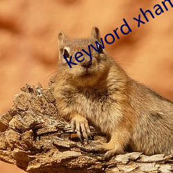 keyword xhamer13