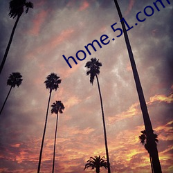 home.51.com