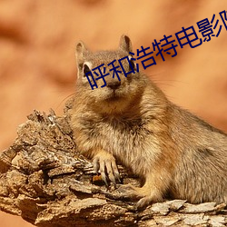 呼和(和)浩特电影(影)院(院)