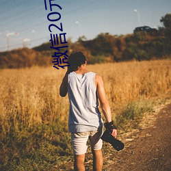 微信20元一对一指挥 （片鳞只甲）
