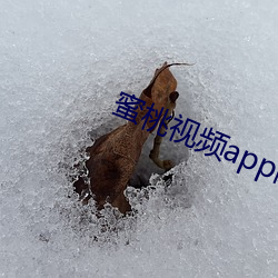 蜜桃视频app阅币破解 （六畜不安）