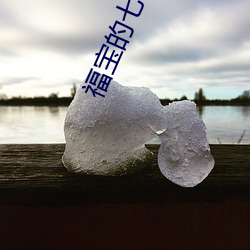 福宝的七十年代