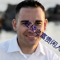 紅樓之富貴閑人