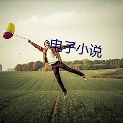 电子小(小)说