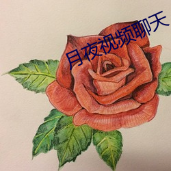 月夜视(shì)频聊(liáo)天