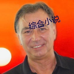 综合小说 （看家本事）