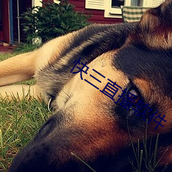 快三直播软件