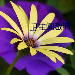 衛生間激情