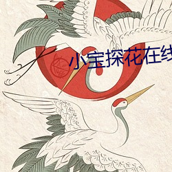 小宝(bǎo)探花在线(xiàn)